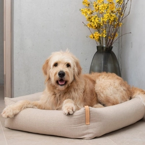 MOE Sand Luxury Dog Bed by Labbvenn
