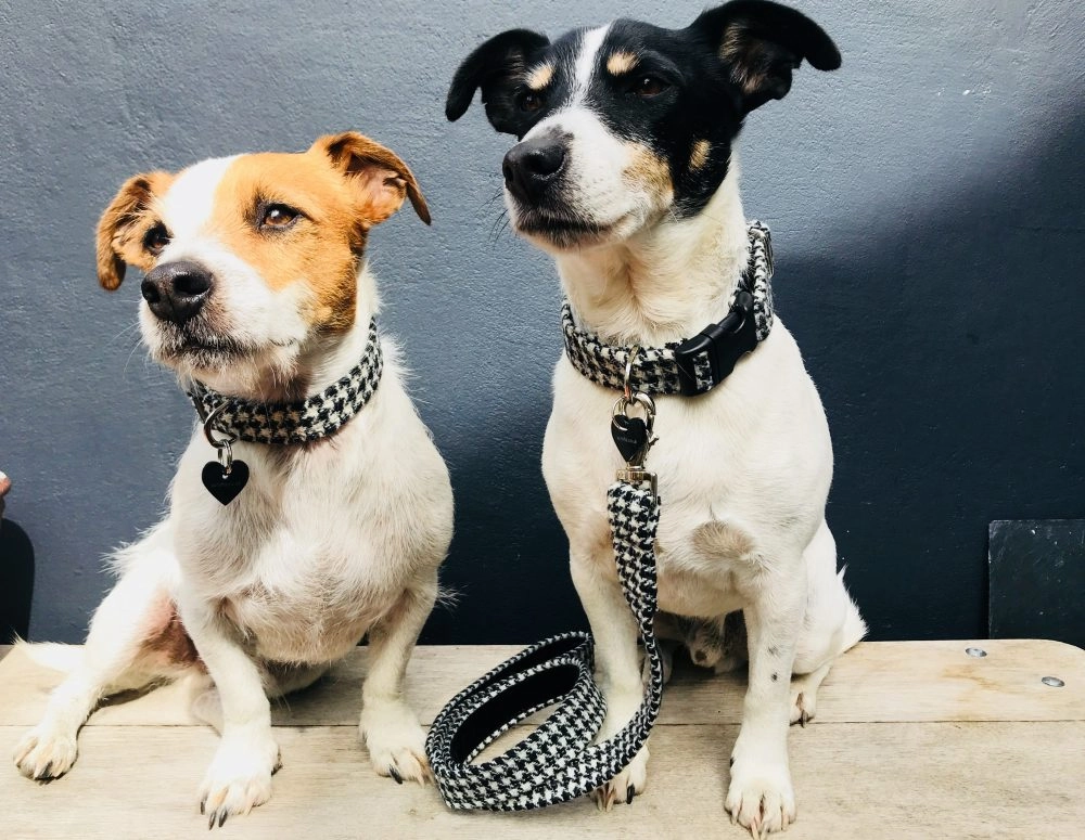 Mono Harris Tweed Black and White Dogtooth Designer Dog Collar & Lead Set