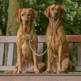 Moss Rope Dog Leads by Ruff And Tumble