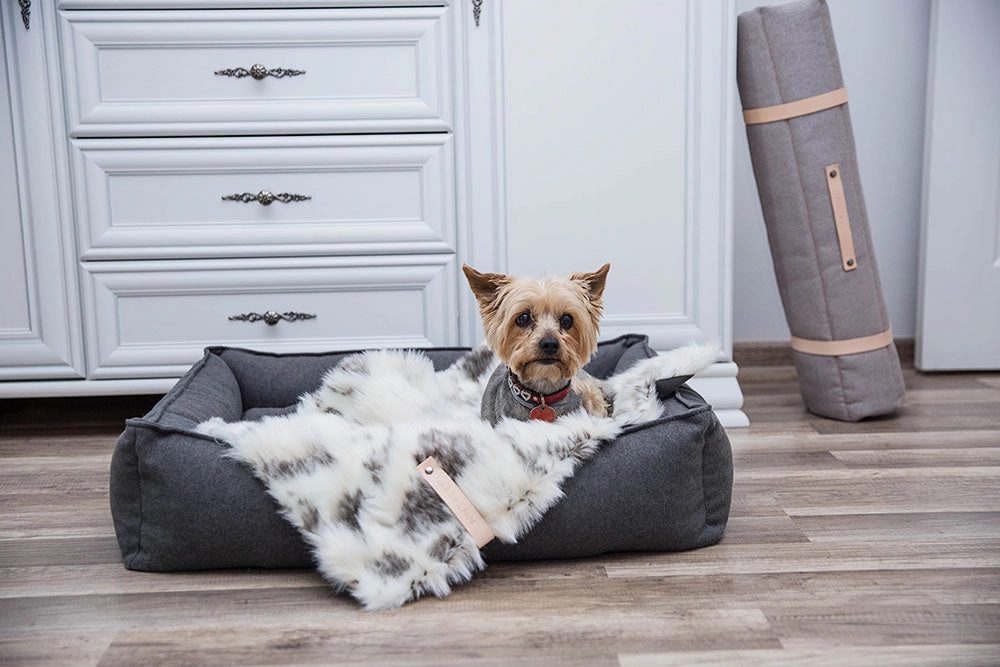 Movik Light Anthracite Dog Bed by Labbvenn