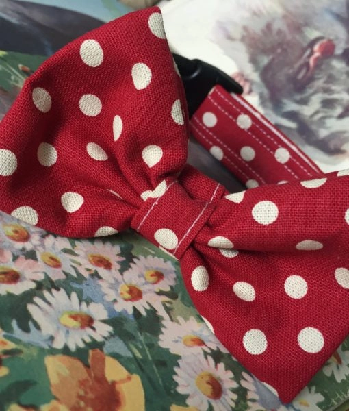 Mrs Phillips Bow Tie Designer Dog Collar