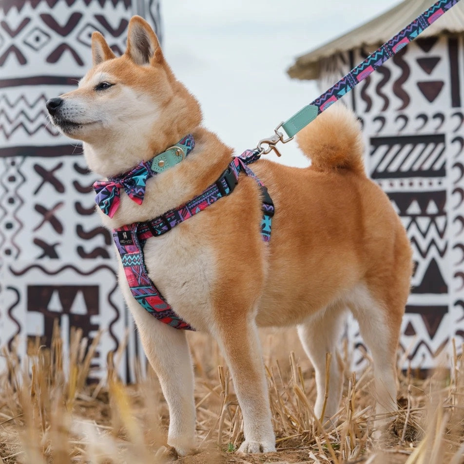Mud Cloth Dog Harness by Hiro and Wolf