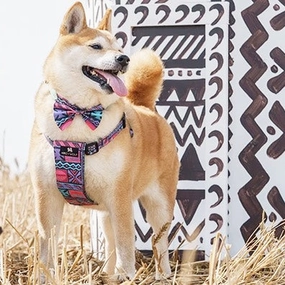 Mud Cloth Dog Harness by Hiro and Wolf