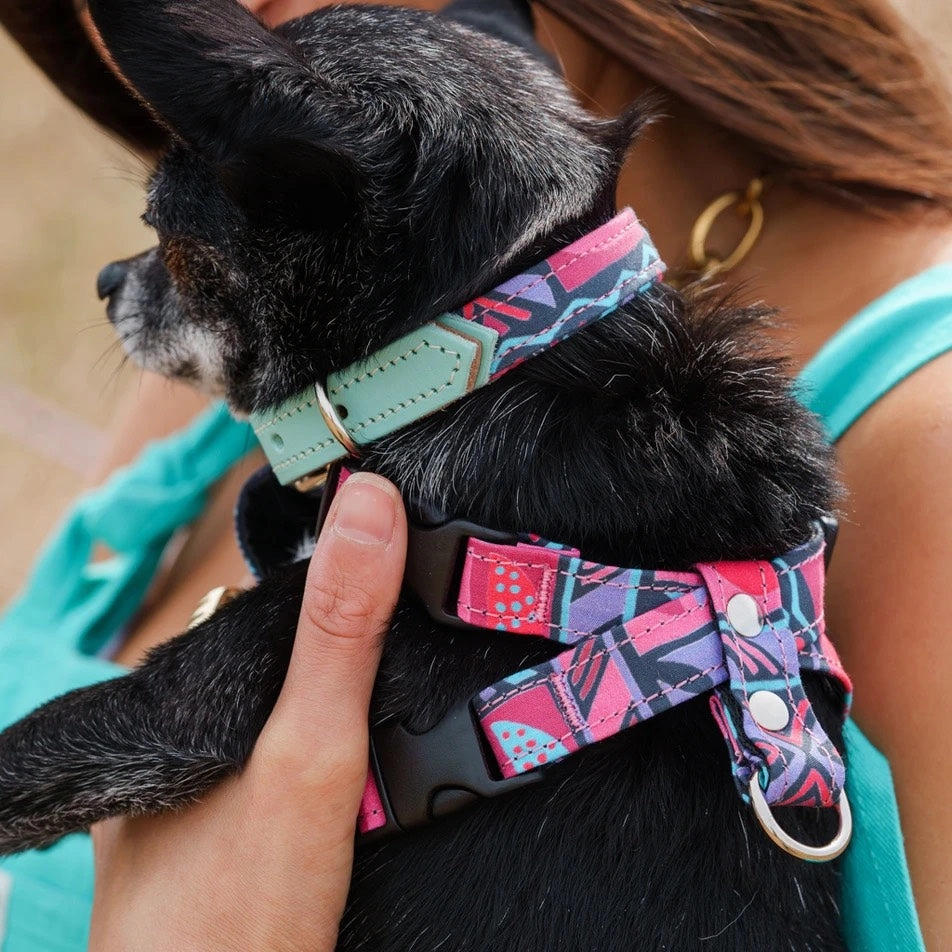 Mud Cloth Dog Harness by Hiro and Wolf