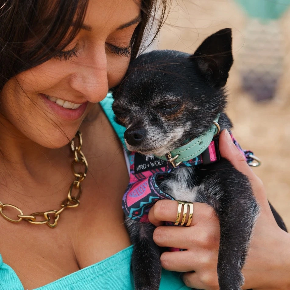 Mud Cloth Dog Harness by Hiro and Wolf