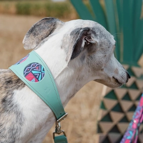 Mud Cloth Hound Collar by Hiro and Wolf