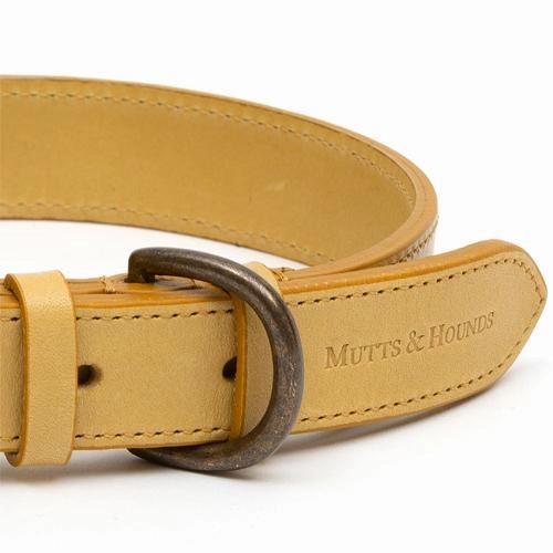 Mustard Full Leather Dog Collar