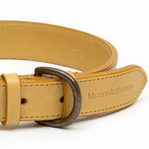Mustard Full Leather Dog Collar