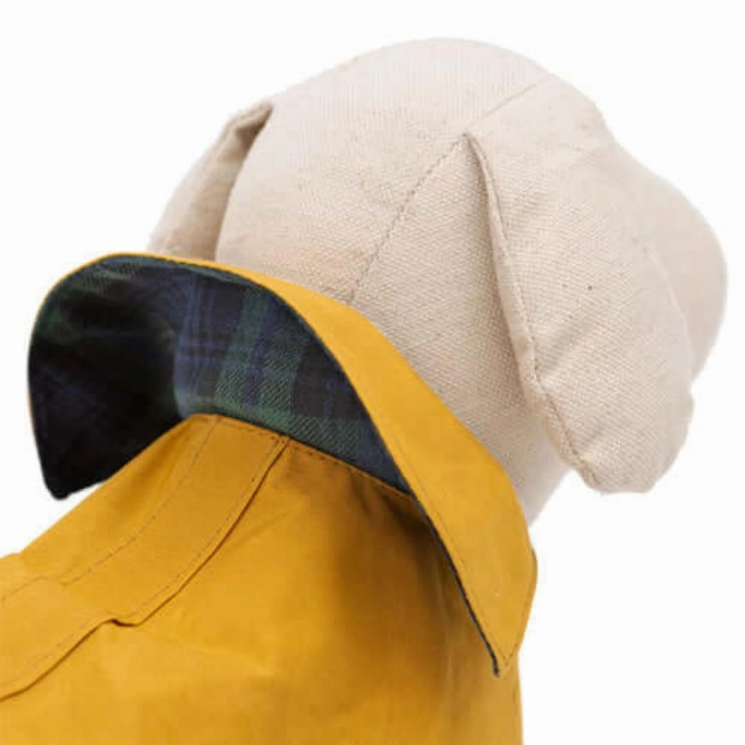Mustard Waxed Waterproof Dog Coat
