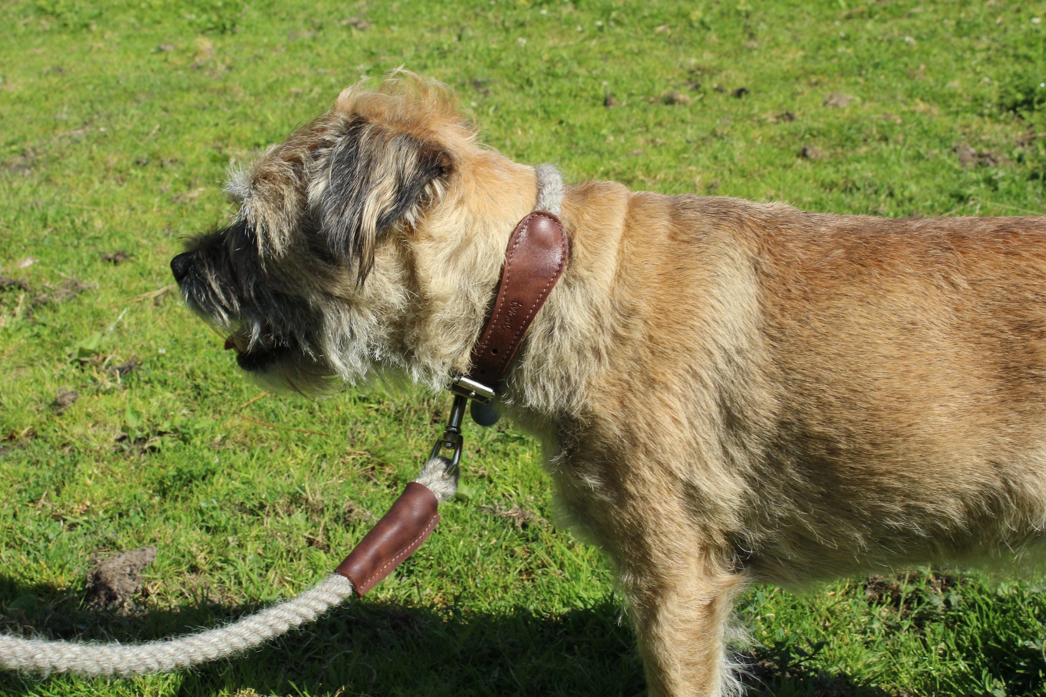 Natural Undyed 100% British Wool Dog Collar