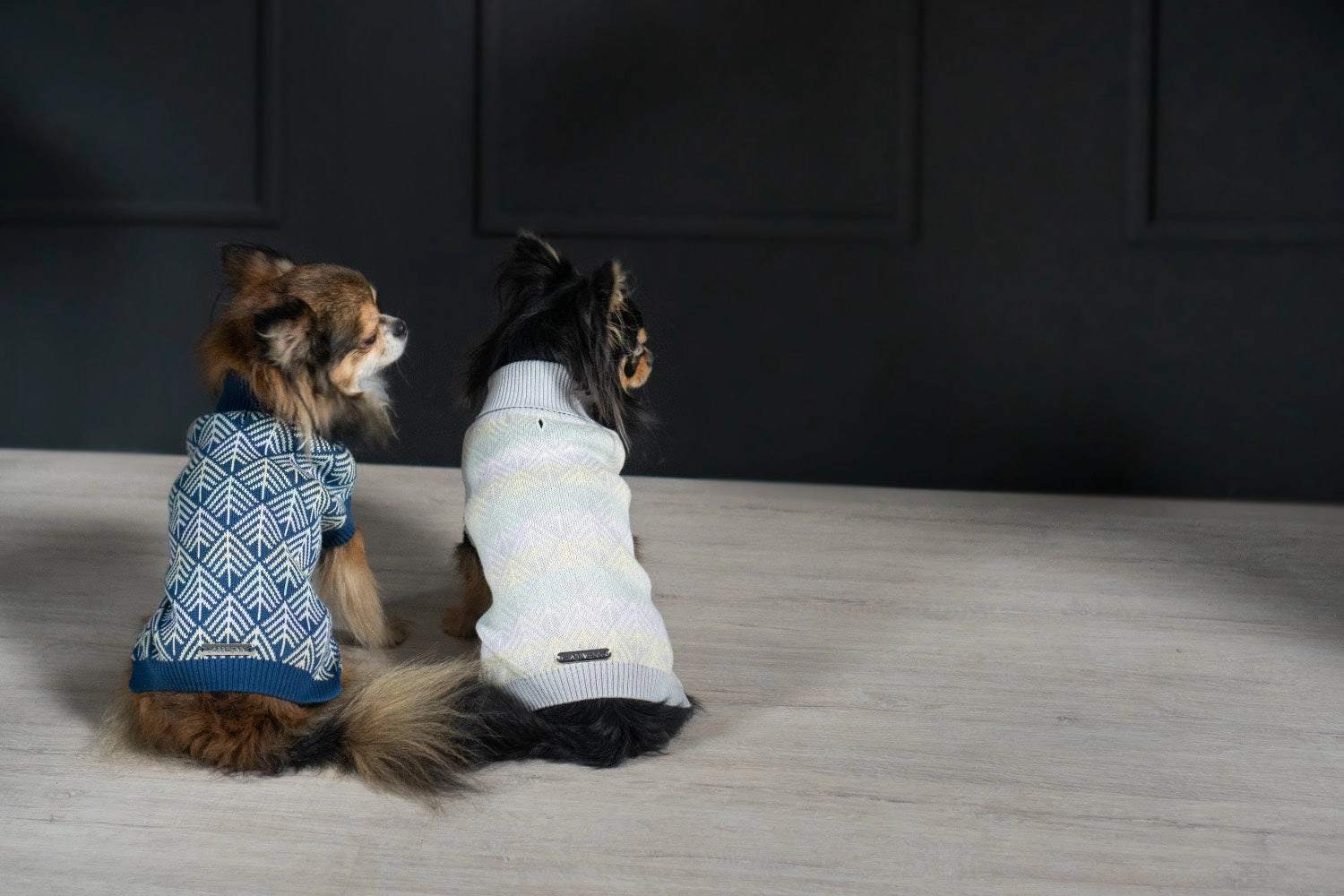 Navy Blue Stripe PULLO Dog Jumper by Labbvenn