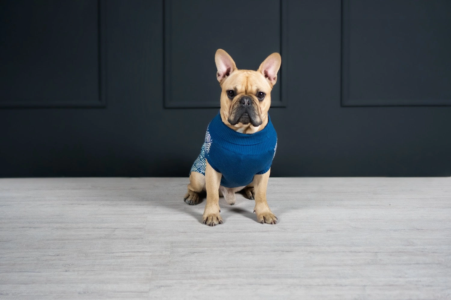 Navy Blue Stripe PULLO Dog Jumper by Labbvenn