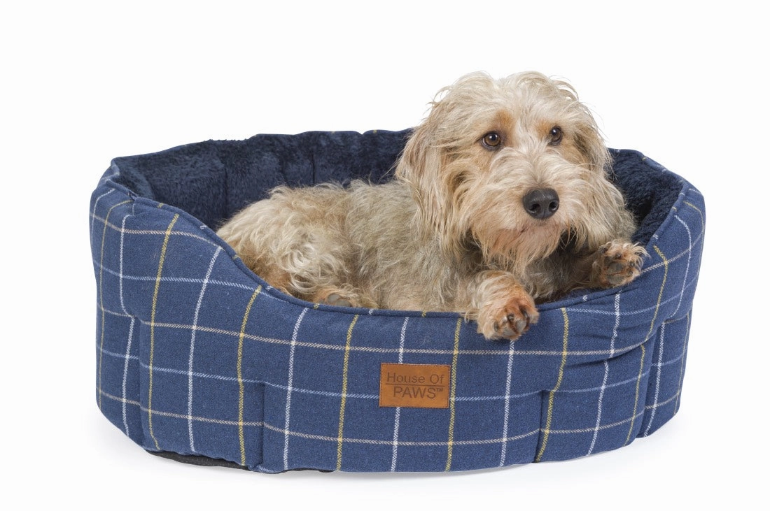 Navy Tweed Oval Snuggle Dog Bed by House of Paws