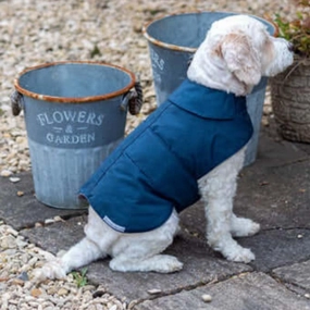 Navy Waxed Waterproof Dog Coat