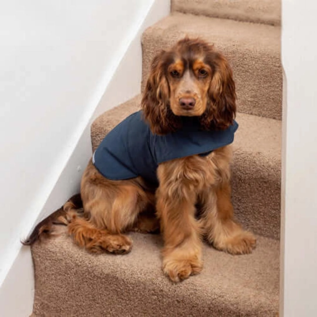 Navy Waxed Waterproof Dog Coat