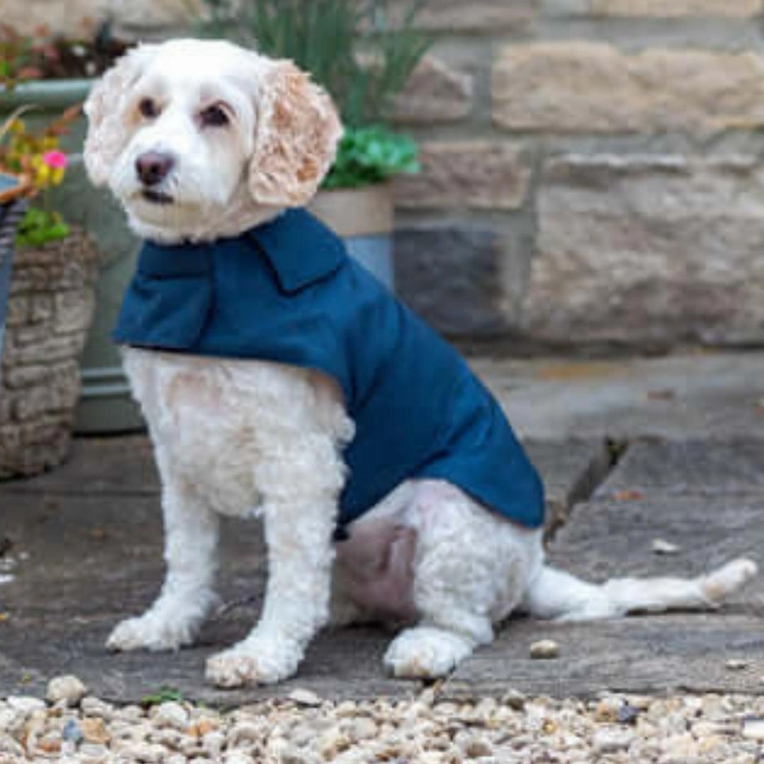 Navy Waxed Waterproof Dog Coat