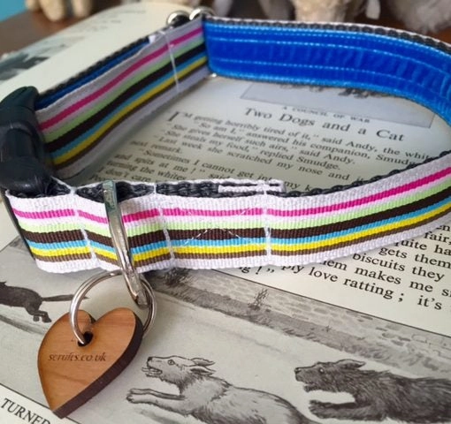 Neopolitan Stripe Dog Collar and Lead Set