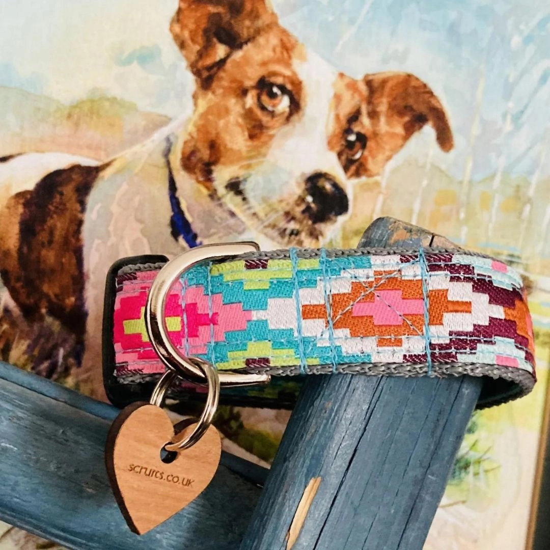 Nevada Designer Dog Collar
