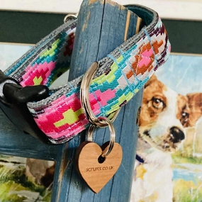 Nevada Designer Dog Collar