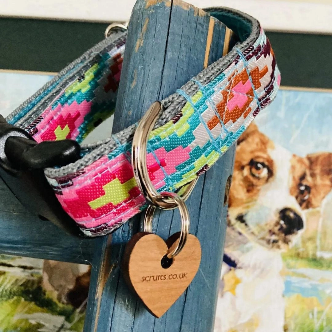 Nevada Designer Dog Collar