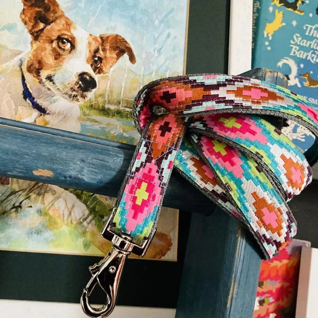 Nevada Designer Dog Collar