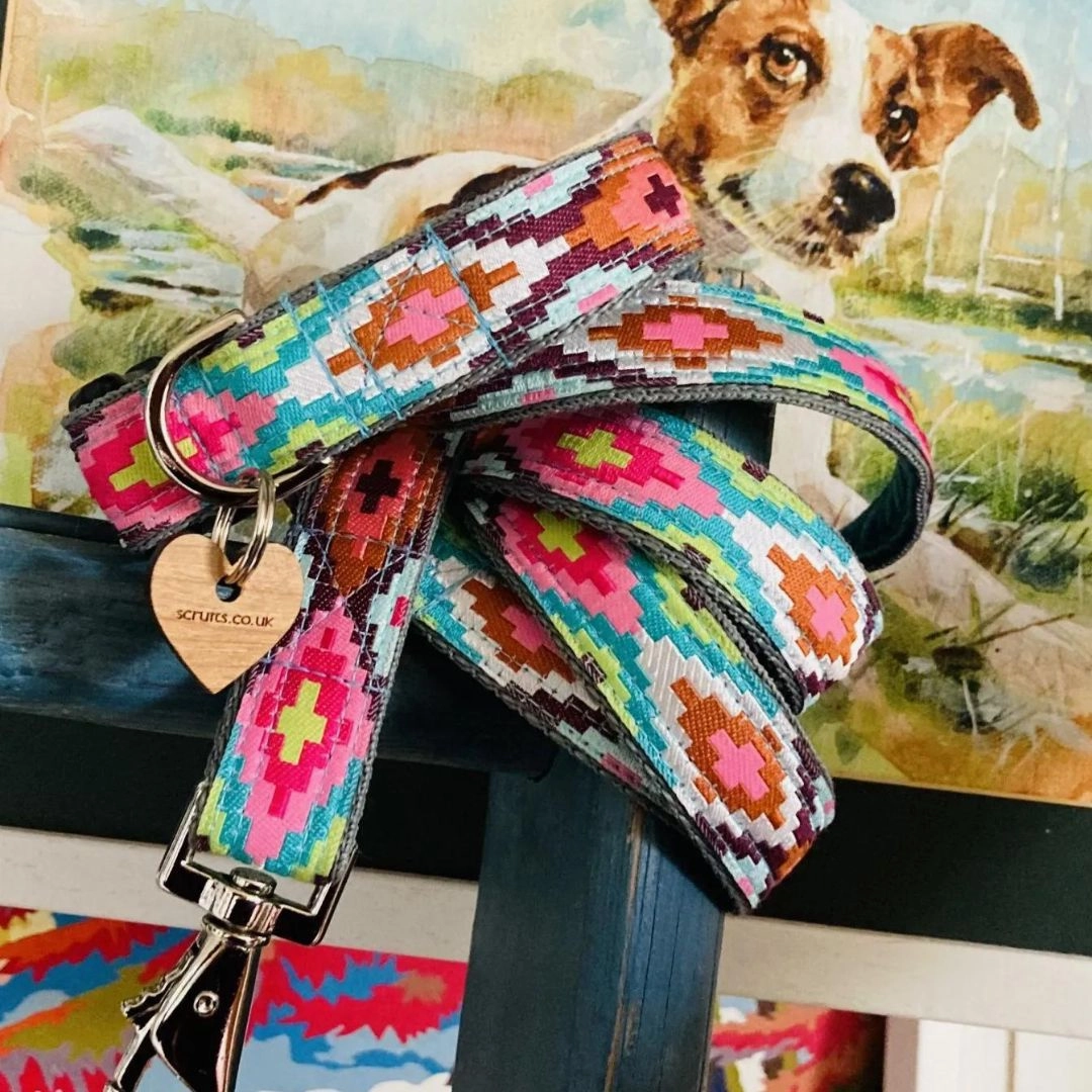 Nevada Designer Dog Collar