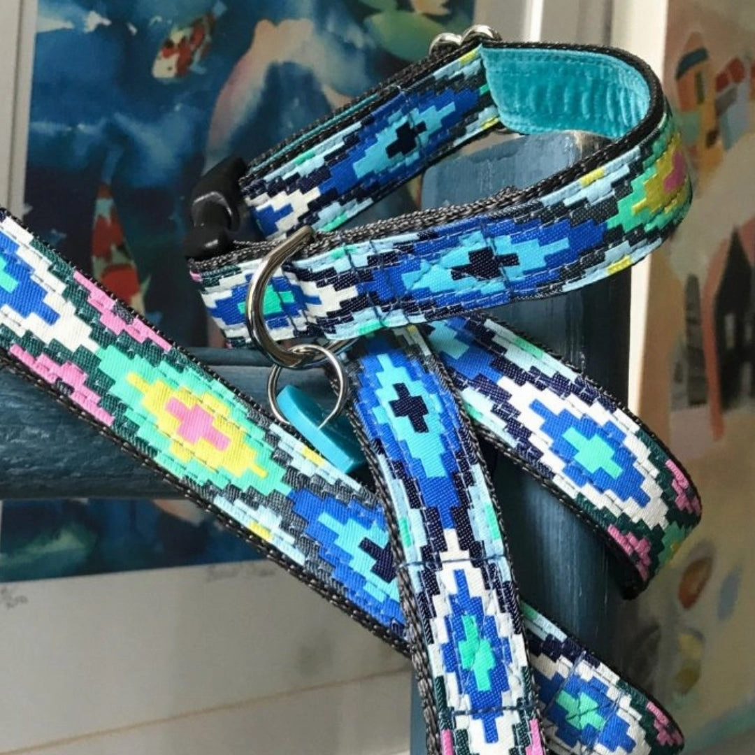 Nevada Dog Collar And Lead Set