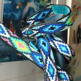 Nevada Dog Collar And Lead Set