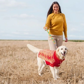New Horizons Luxury Dog Jumper by Hiro and Wolf