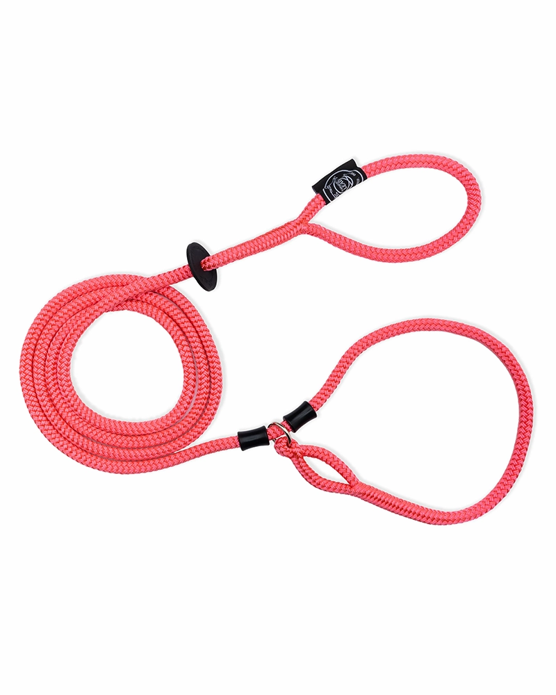 No-Pull Escape Resistant Harness & Lead In-One - Medium/Large