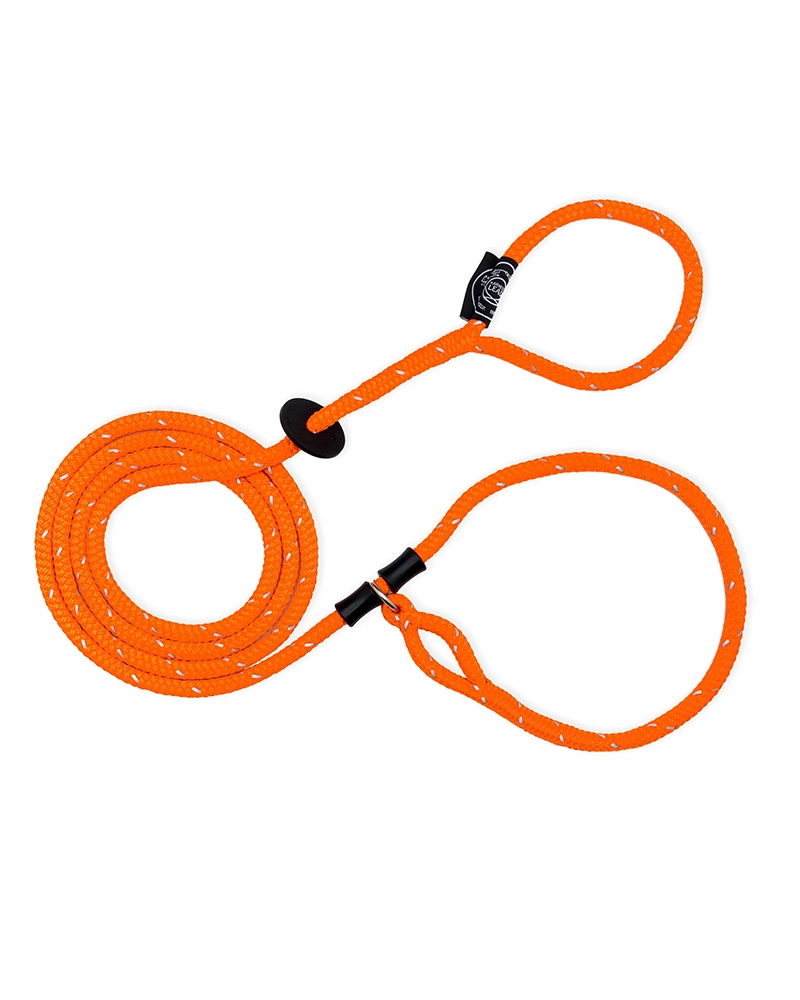 No-Pull Escape Resistant Harness & Lead In-One - Medium/Large