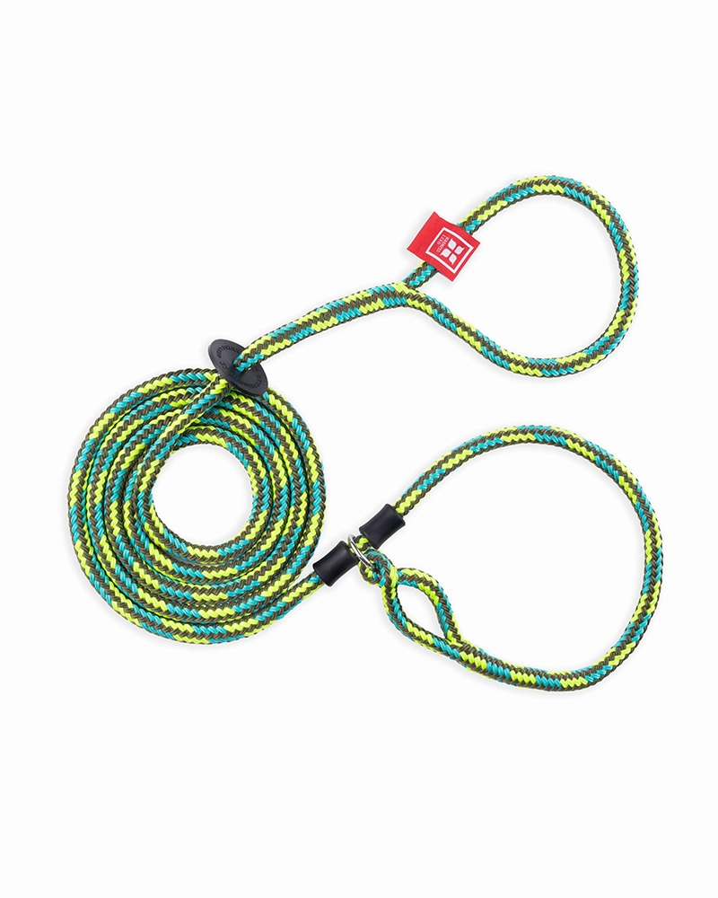 No-Pull Escape Resistant Harness & Lead In-One - Medium/Large
