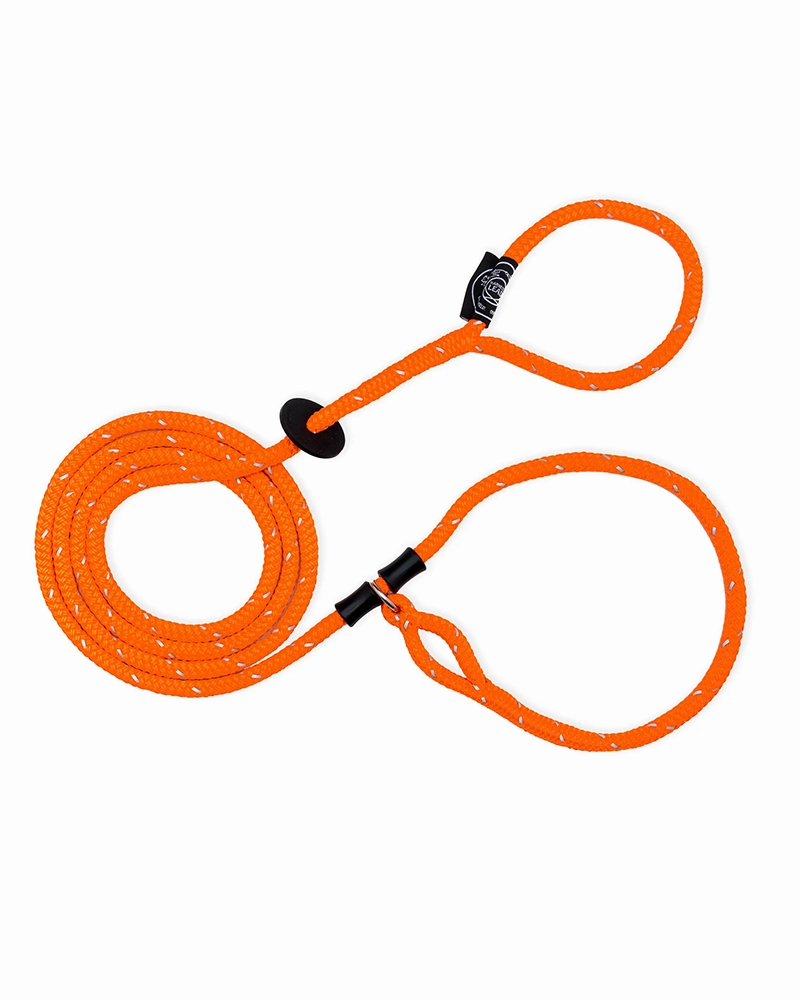 No-Pull Escape Resistant Harness & Lead In-One - Small/Medium