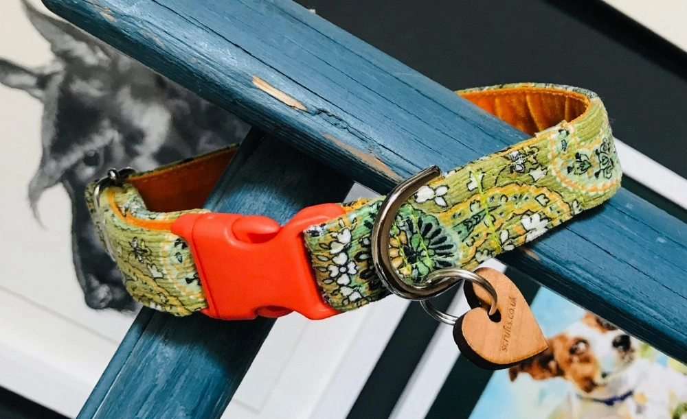 Nutley Corduroy Designer Dog Collar