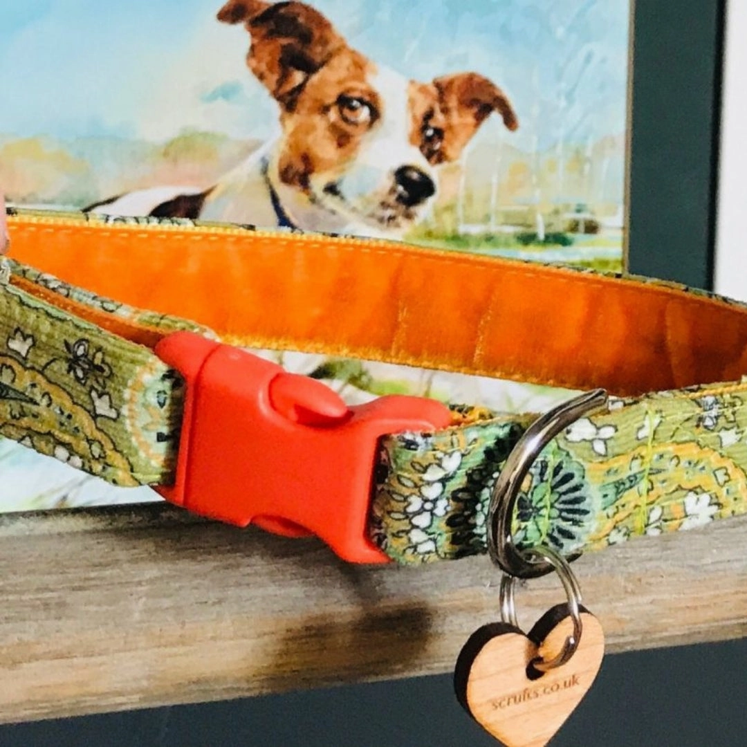 Nutley Corduroy Designer Dog Collar