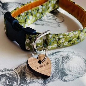 Olive Floral Dog Collar with Velvet Lining