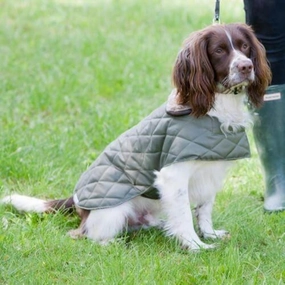 Olive Quilted Waterproof Dog Coat
