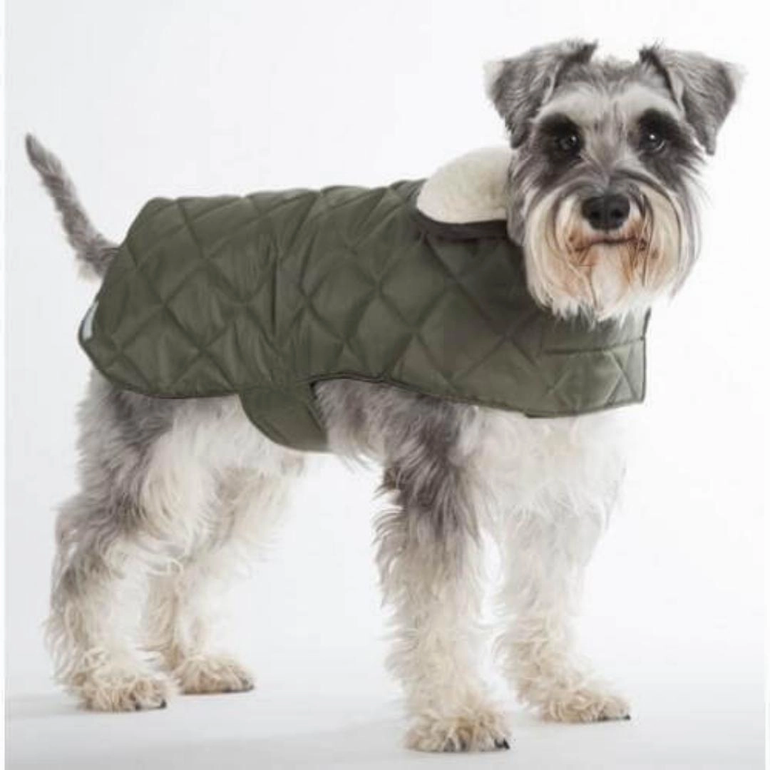 Olive Quilted Waterproof Dog Coat