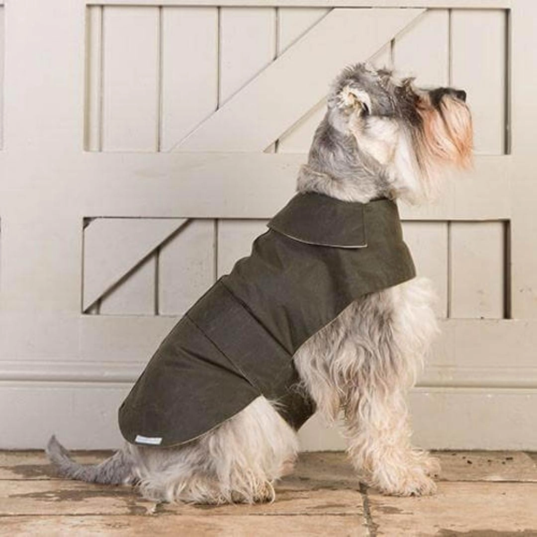 Olive Waxed Waterproof Dog Coat
