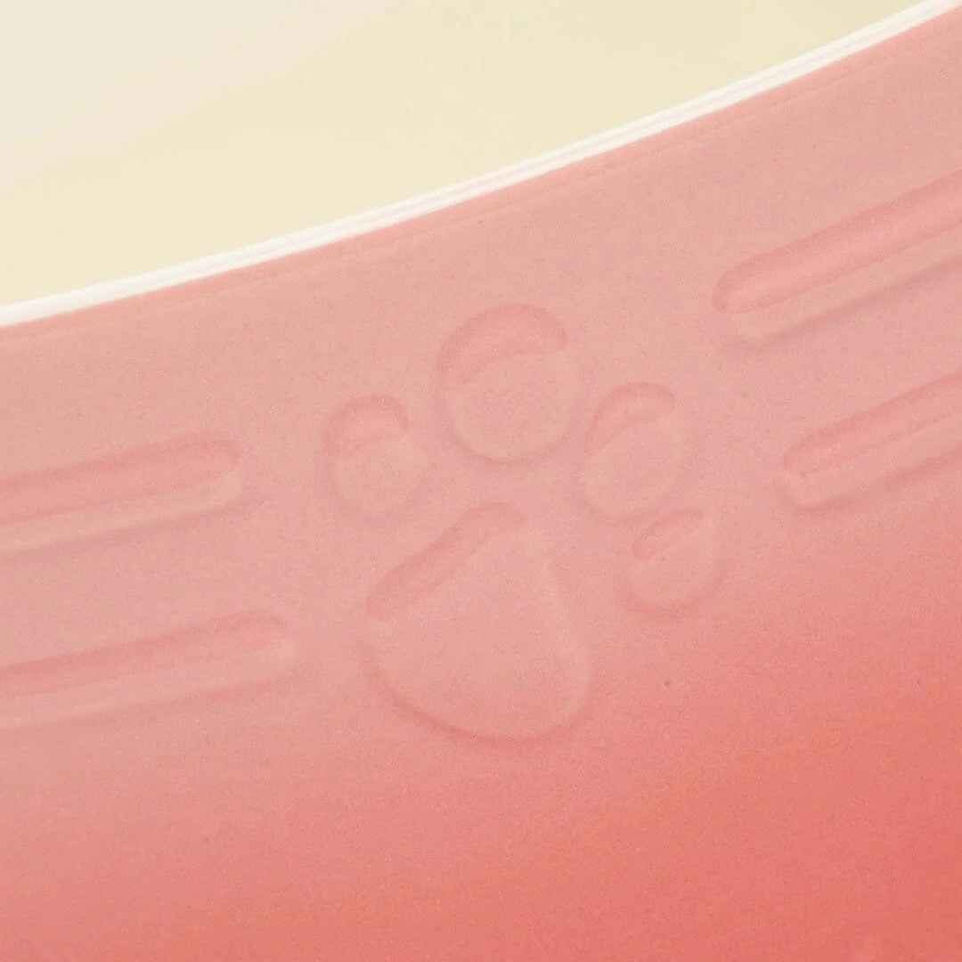 Ombre 2 Piece Dog Food & Water Bowl Set - Pink