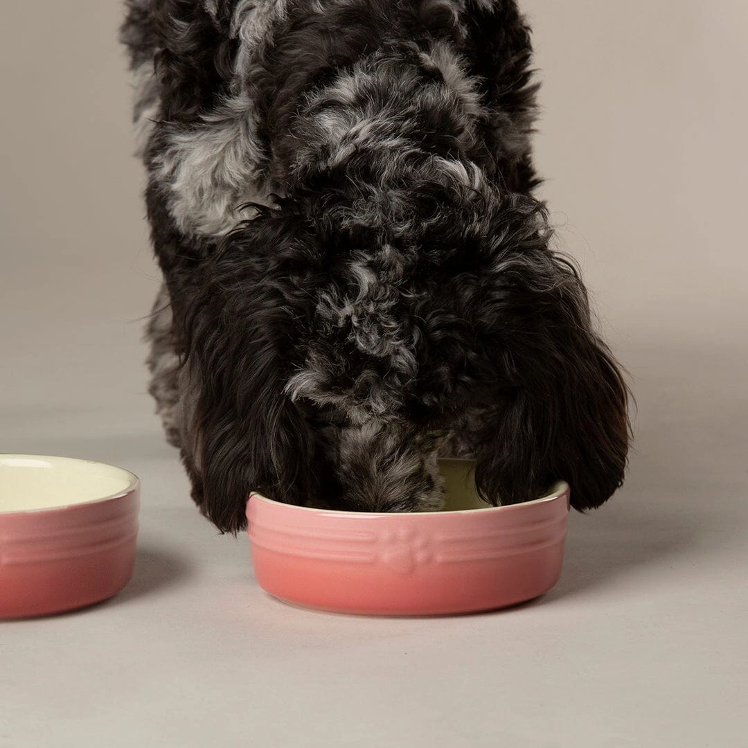 Ombre 2 Piece Dog Food & Water Bowl Set - Pink