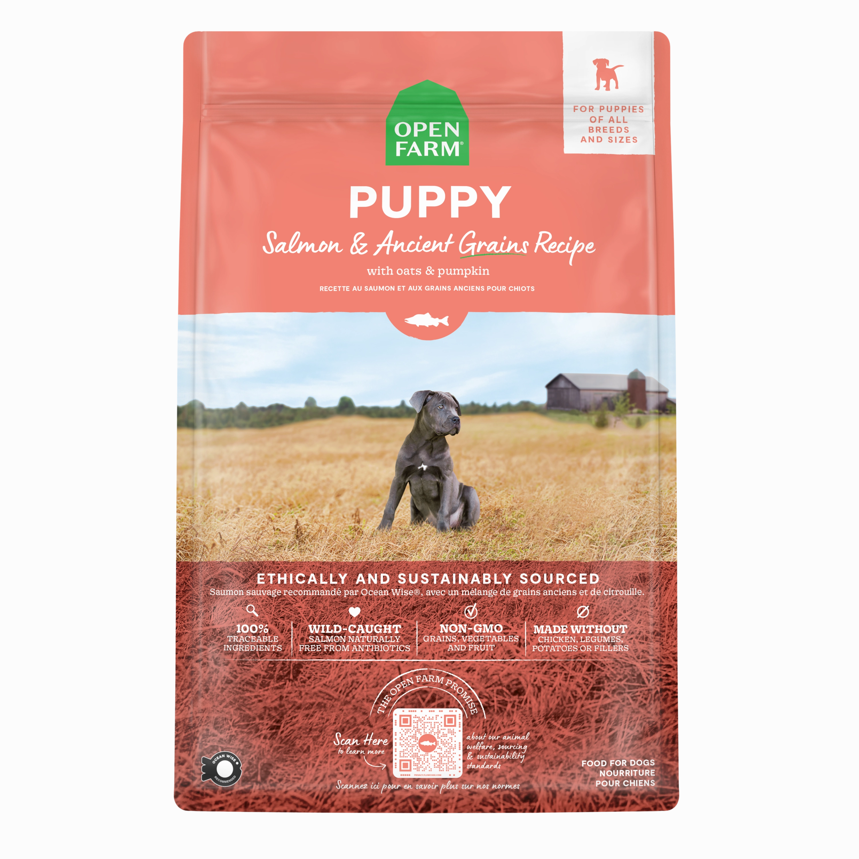Open Farm Puppy Ancient Grains Salmon Dry Dog Food 22lb