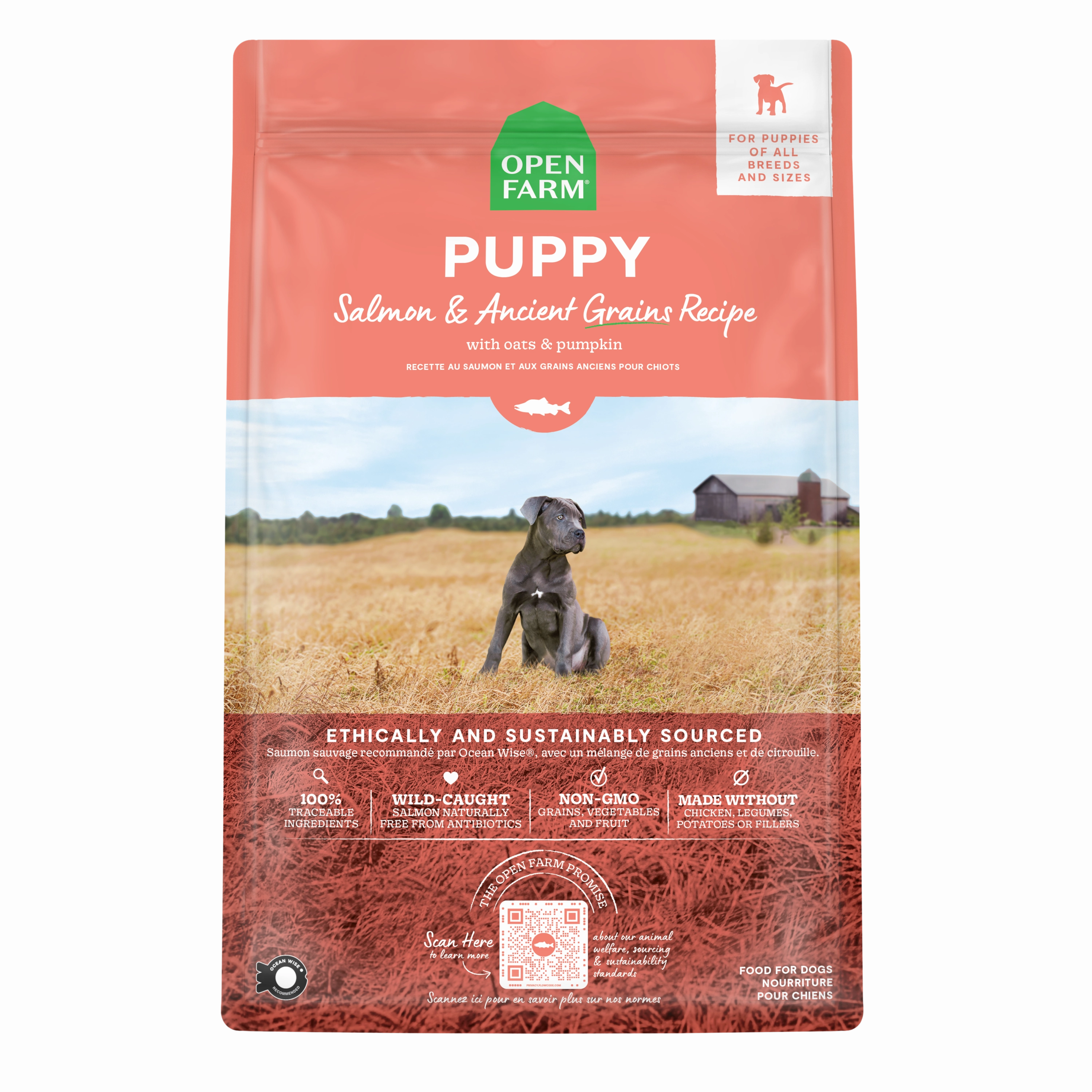 Open Farm Puppy Ancient Grains Salmon Dry Dog Food 22lb