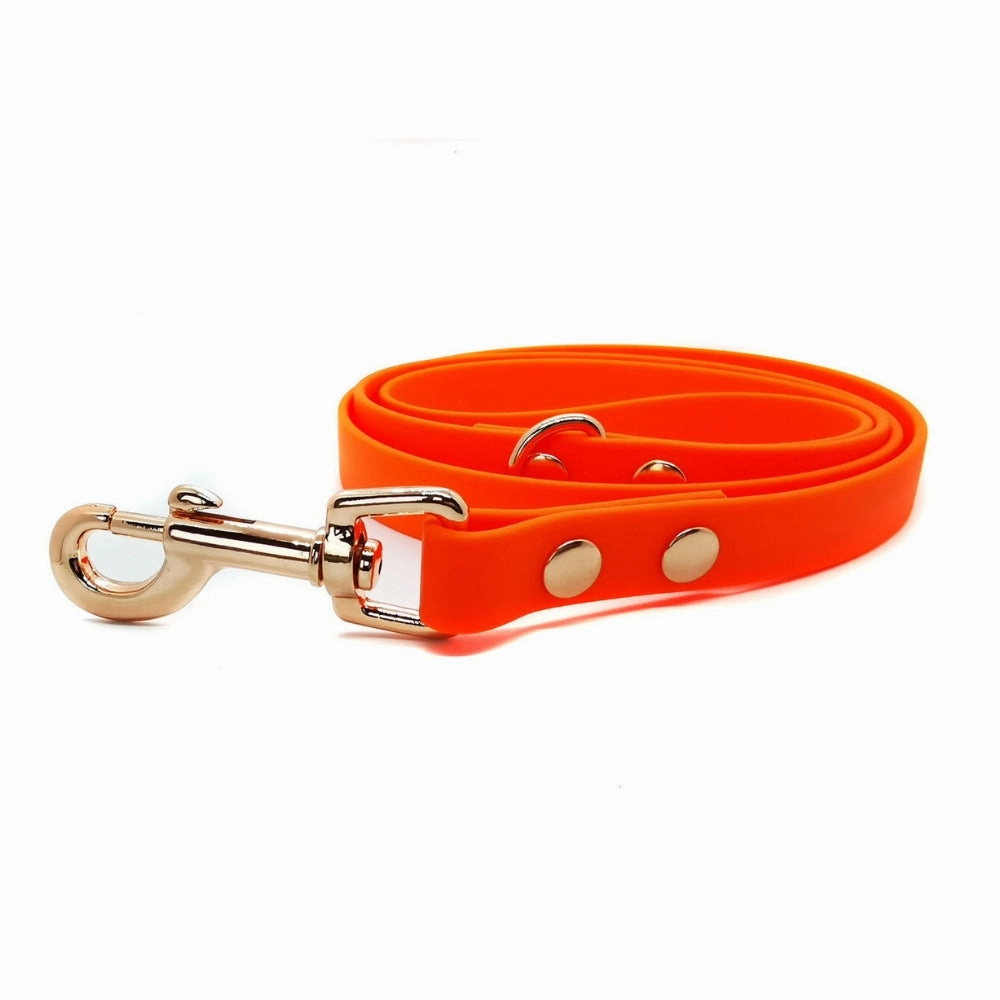 Orange Biothane Vegan Dog Collar