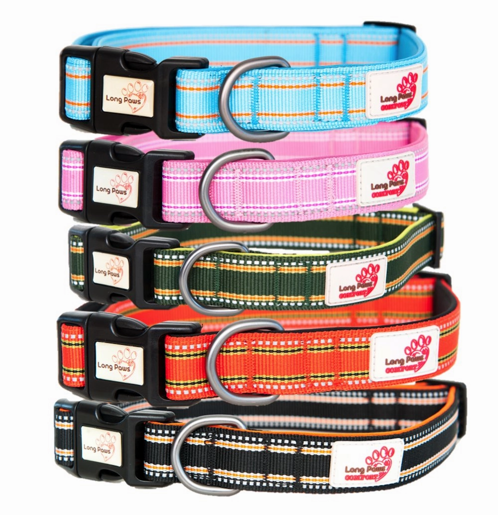 Orange Comfort Collection Padded Dog Collar
