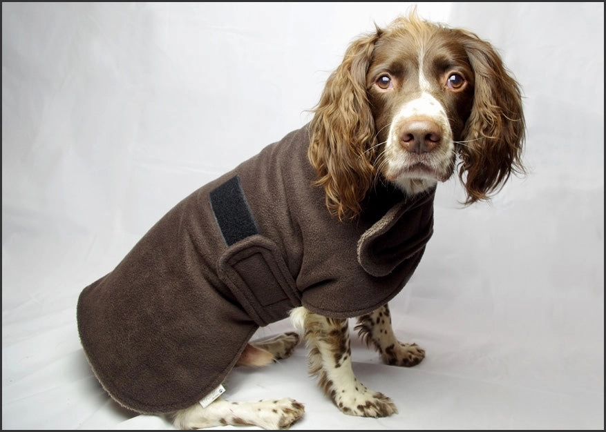 Original Dog Drying Coat