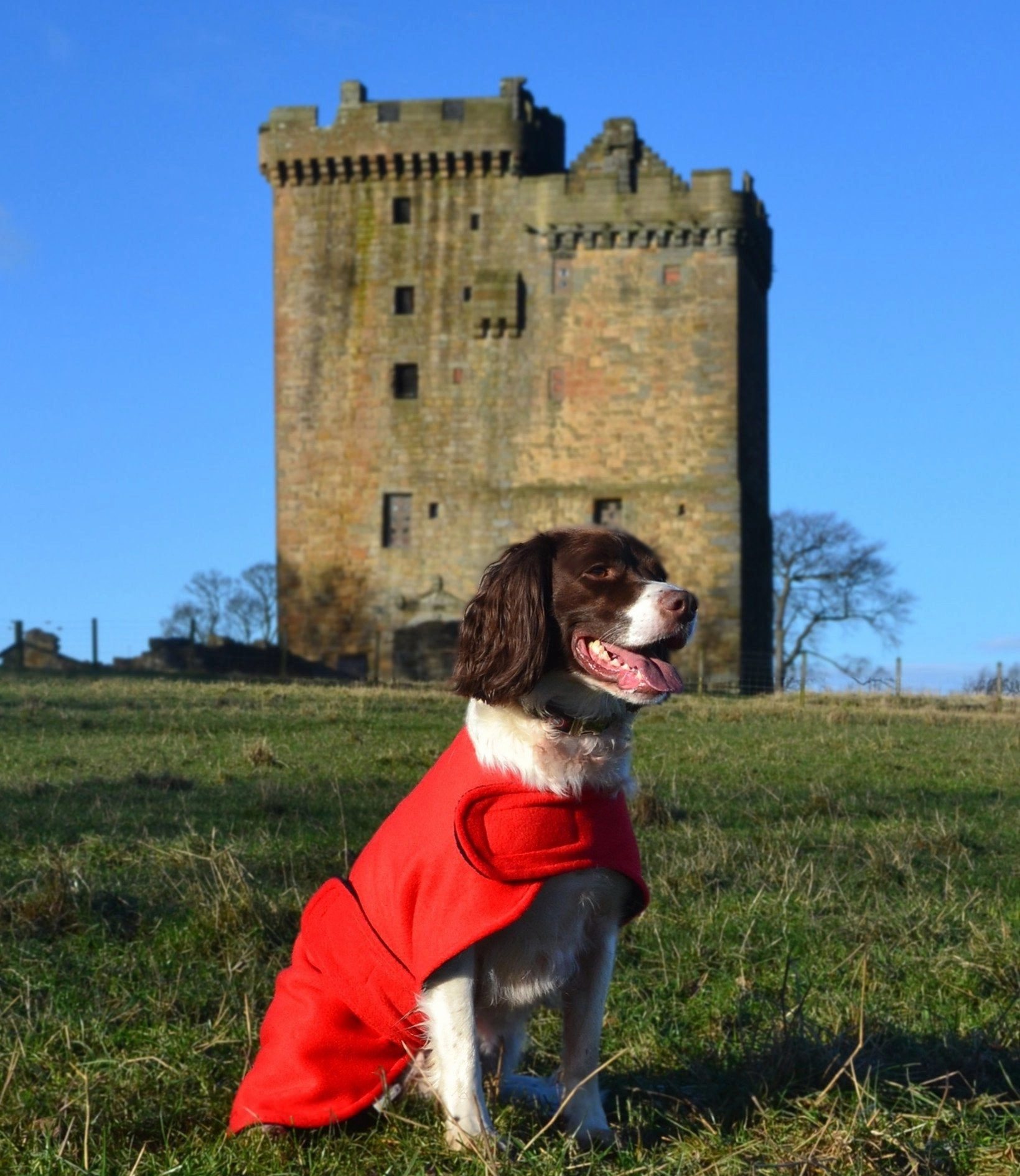 Original Dog Drying Coat