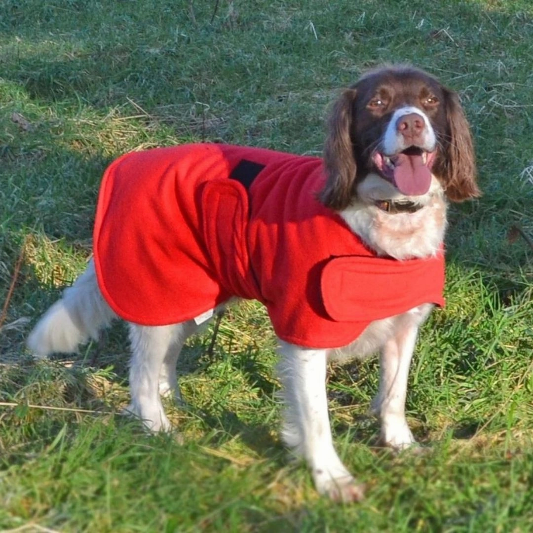 Original Dog Drying Coat