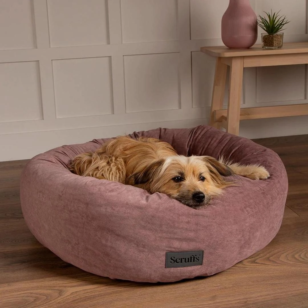 Oslo Ring Donut Dog Bed - Blush Pink