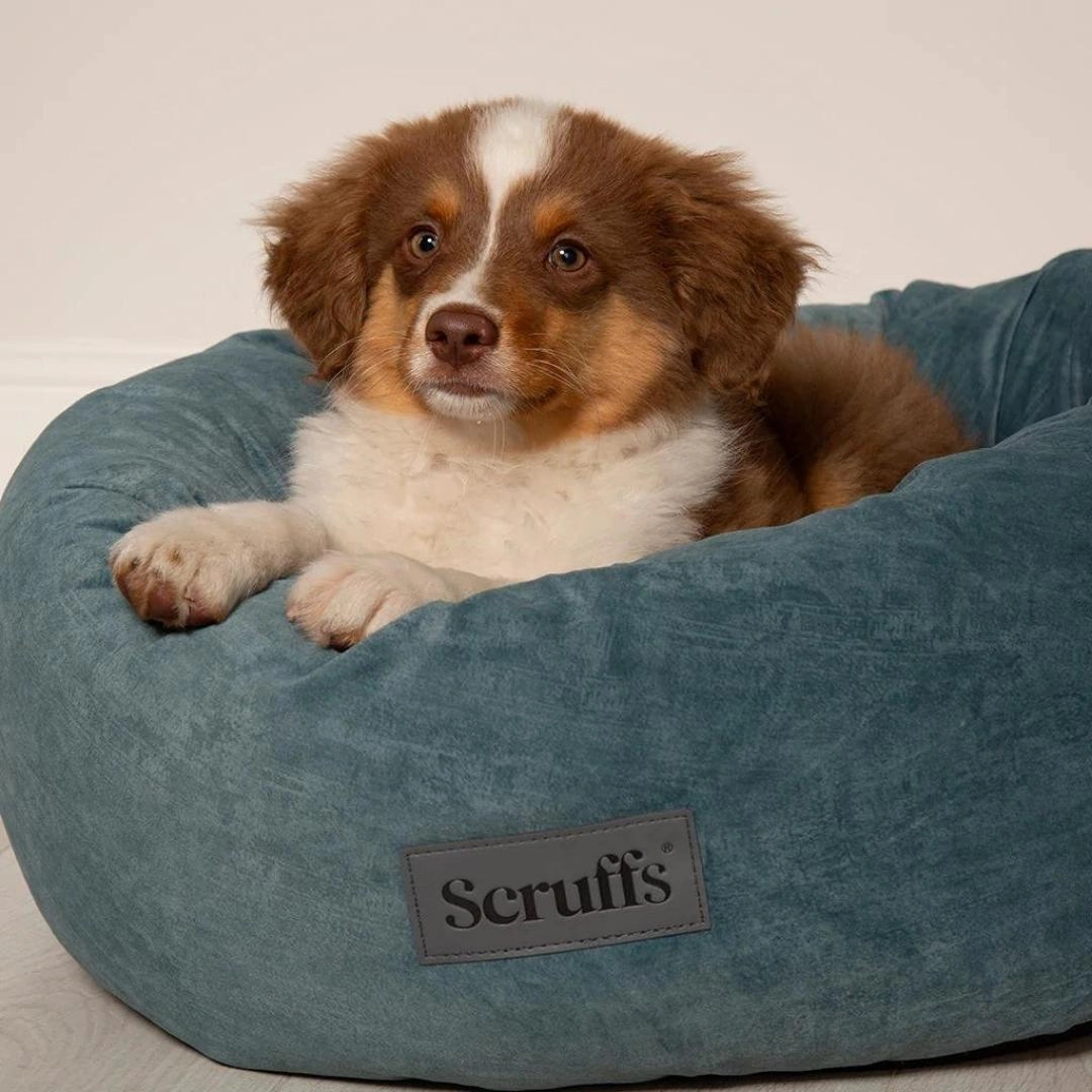 Oslo Ring Donut Dog Bed - Lake Teal